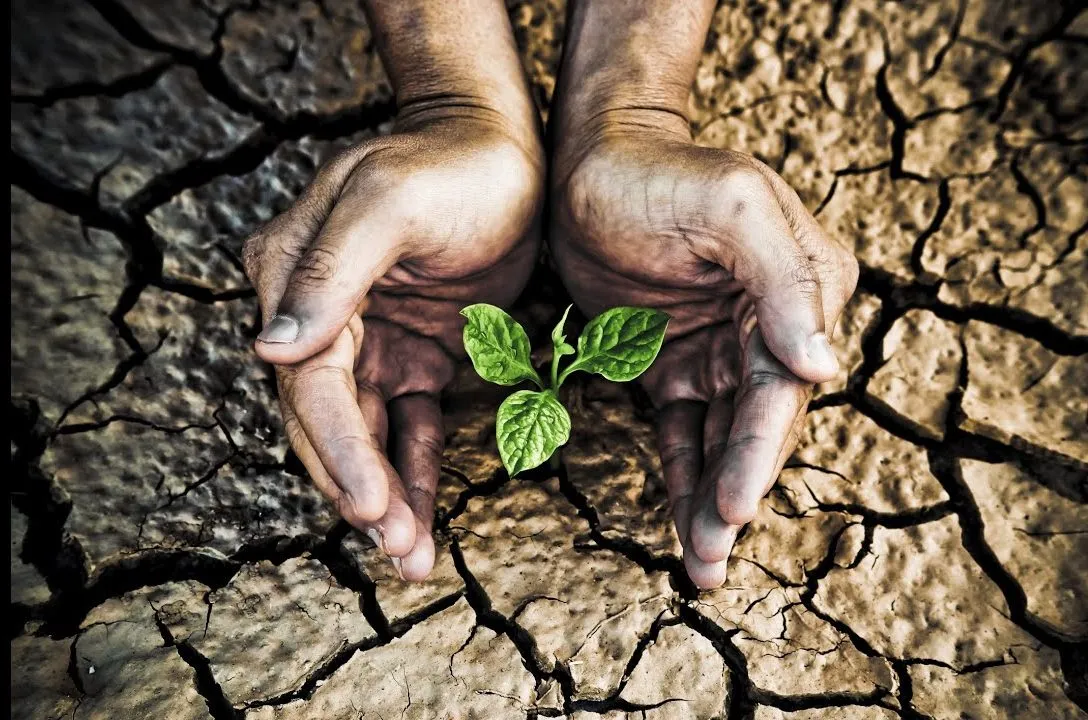 التغير المناخي والجفاف الشديد يهدد سوريا 2 الجفاف e1677116516754