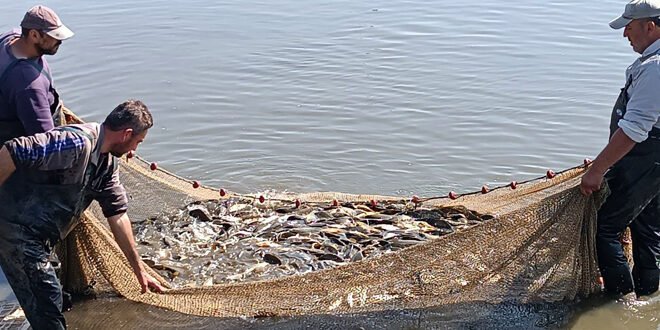 ررررر 3 660x330 1