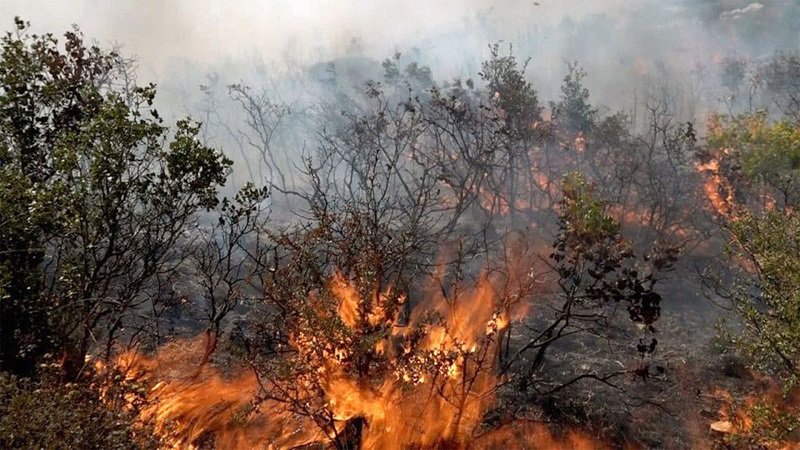 الرياح تجدد الحرائق في اللاذقية 2 حرائق في غابات اللاذقية متداول