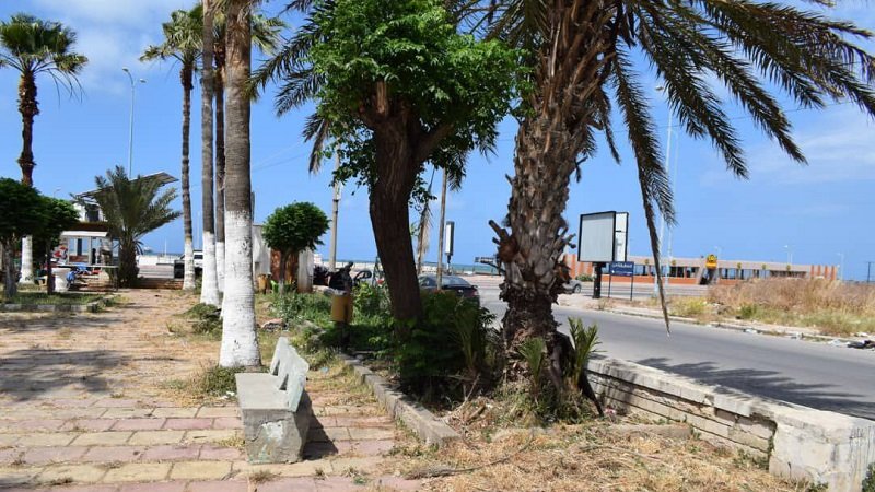 حديقة الطلائع في طرطوس.. مرتع للأوساخ والحشرات! 2 102