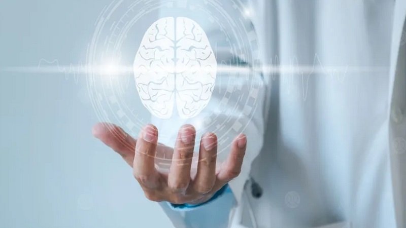 جهاز يُشبه شَعر الإنسان لمراقبة نشاط الدماغ 2 203373f725100f983714c13506c4e6da