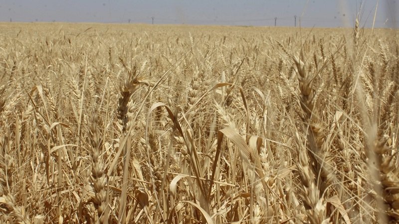 4 5841413675864296954 scaled 1