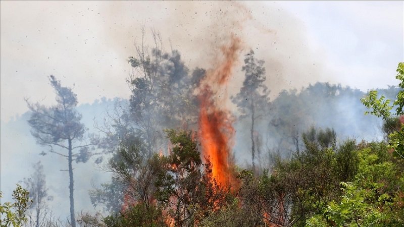 اللاذقية: الرياح والحرارة وانفجار مخلفات حرب يعيق إخماد الحرائق 2 thumbs b c 5400d4b9d8f0bc8b51325a664ae7f769