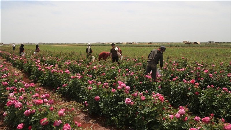 thumbs b c 86cc6c9ed19ee84a766987f4fb772215