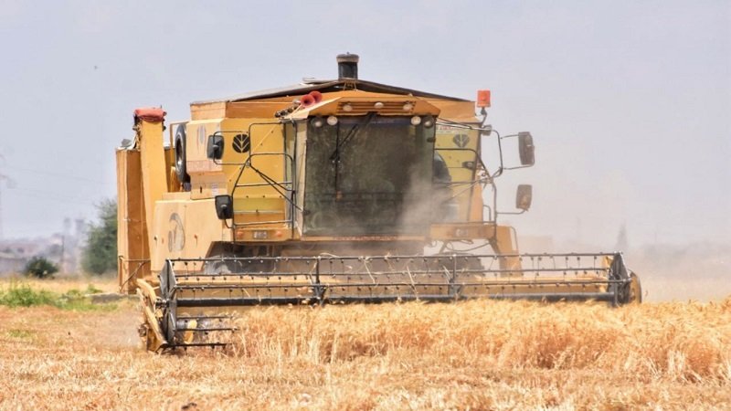 حصاد أكثر من 57 ألف هكتار من القمح المروي في حلب 2 0 2 2ةة