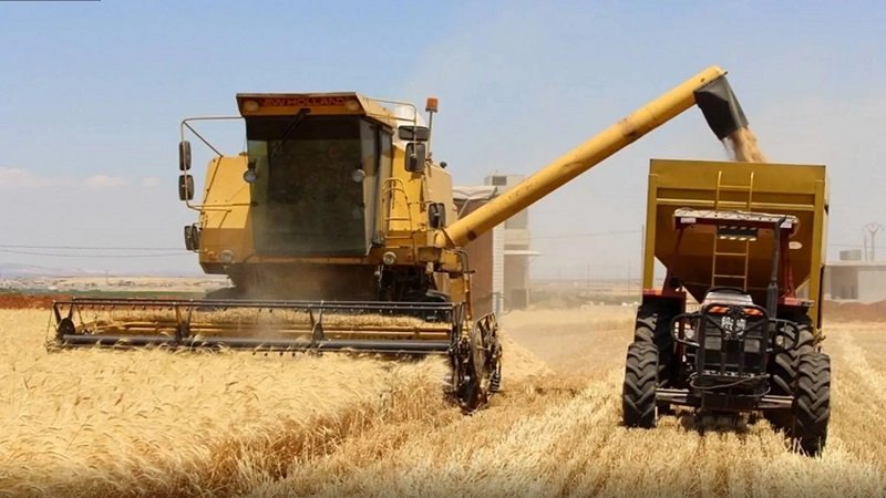 أسوأ موجة جفاف تعصف بالجزيرة السورية منذ 26 عاماً