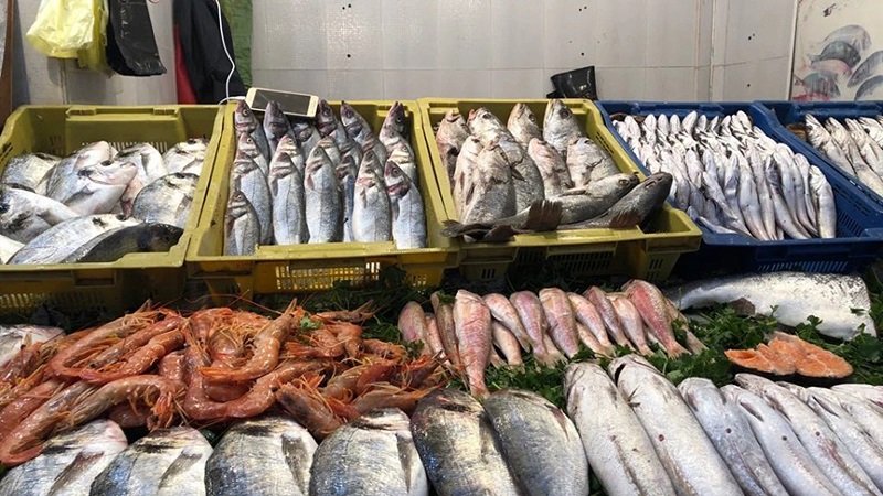 إنعاش الثروة السمكية لدعم المائدة السورية.. مواجهات وتحديات