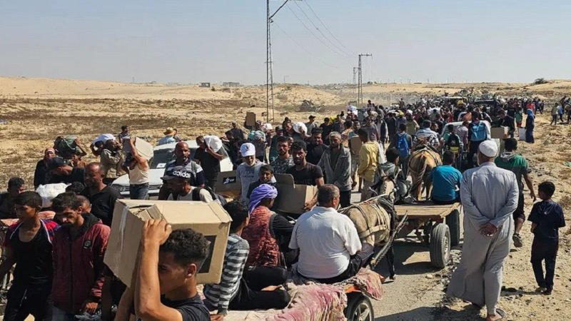 الأمم المتحدة: 800 قتيل في غزة أثناء انتظار المساعدات