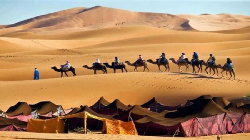 البادية السورية.. قلب الصحراء وموطن العشائر البدوية