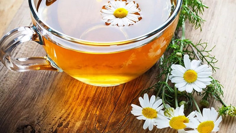 لماذا ينصح الأطباء بشرب شاي البابونج قبل النوم؟