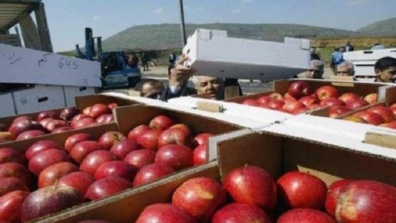 750 طناً صادرات الخضراوات والفواكه السورية يومياً