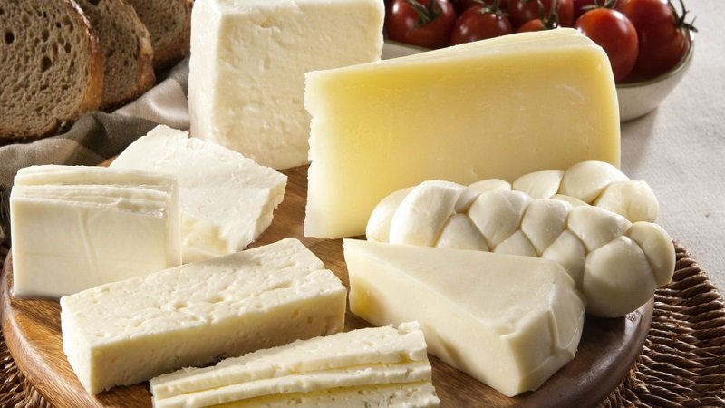 ماذا يحدث لجسم الإنسان عند تناول الجبن يومياً؟