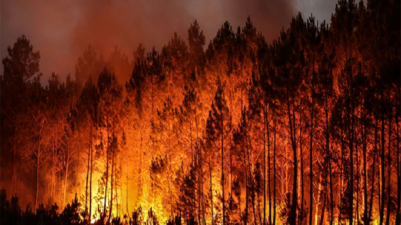 حرائق أوروبا… خسائر وتلوث على مستوى قياسي 2 حرائق اوروبا 660x330 1