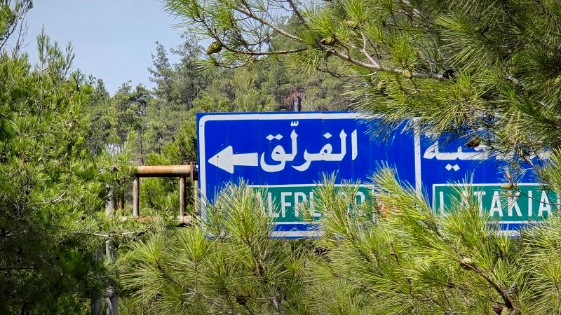 غابات الفرنلق في اللاذقية.. وجهة سياحية بيئية تنبض بالحياة 2 20250829 111429 scaled 1