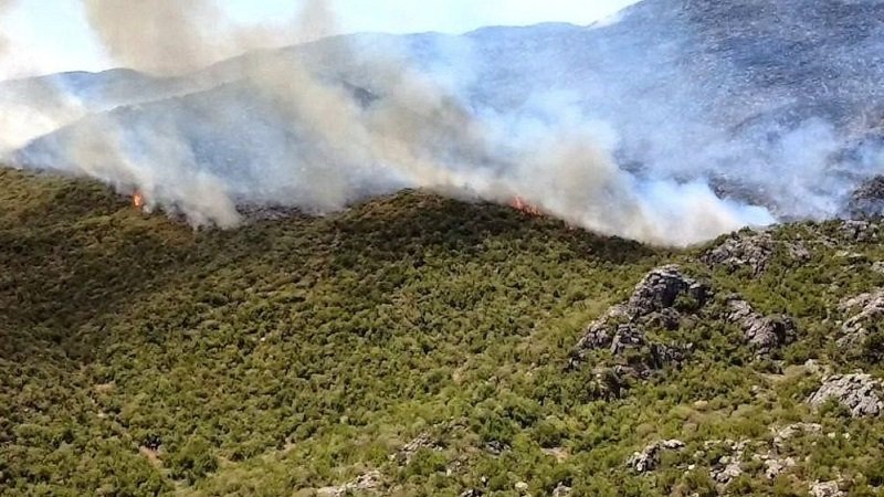 تضرر أربعة آلاف هكتار بريف حماة نتيجة الحرائق 2 Four thousand hectares