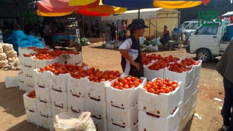 IMG 20250526 232301 352