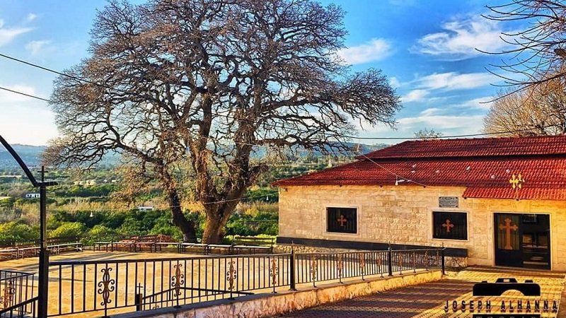 IMG 20250816 123930 485