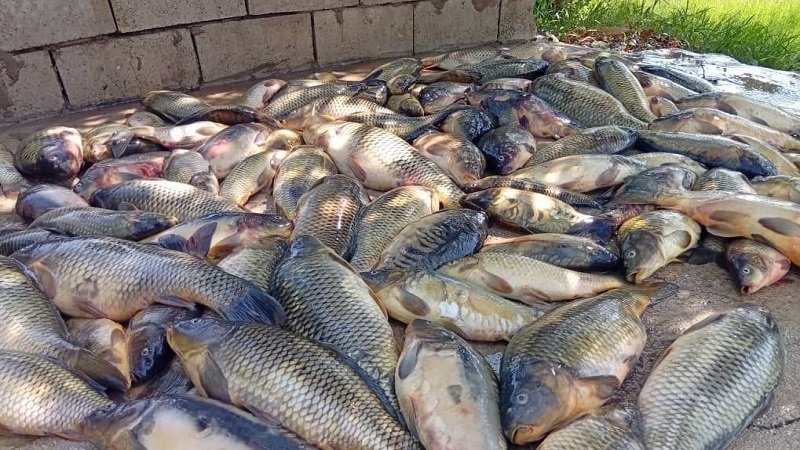 IMG 20250821 181402 257