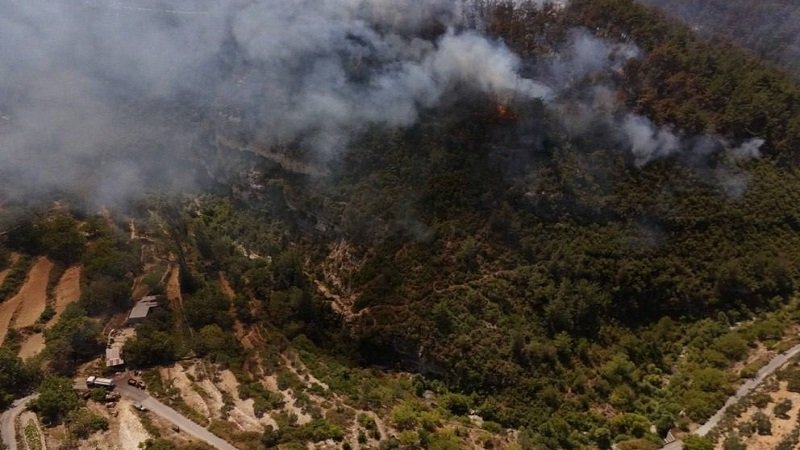 الدفاع المدني يتصدى لـ 30 حريقاً.. بينها 10 في اللاذقية وطرطوس