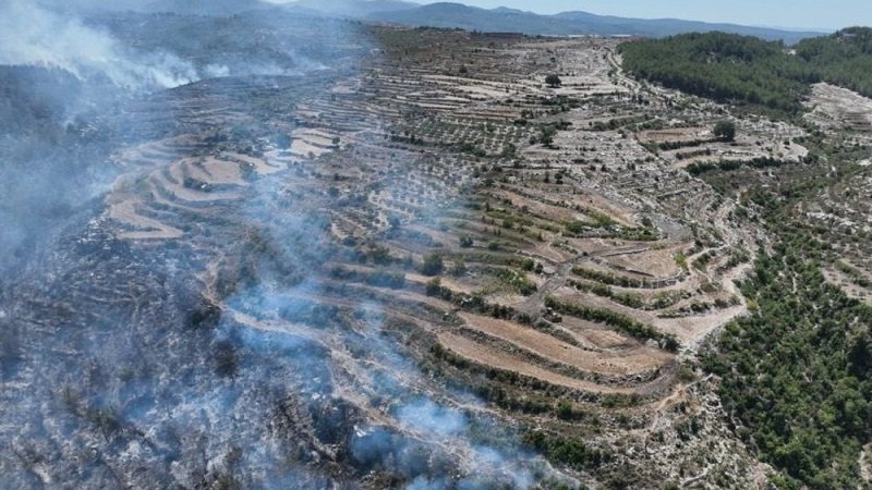 وزارة الإدارة المحلية تكشف حجم خسائر الحرائق في الساحل 2 The Ministry of Local Administration reveals the extent of the losses from the fires on the coast raci83oouwe8i8fmv47t8eo6wbff9rysuofvlbywcs