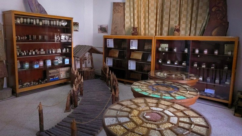 المتحف الزراعي بدمشق.. نافذة على إرث تاريخي وعلمي
