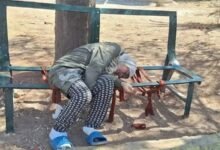 صورة سيدة تموت على مقعد حديقة بحلب.. تهز مواقع التواصل