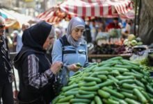 أسر سورية مثقلة بأعباء المؤونة وتكاليف المدارس 16 أسر سورية مثقلة بأعباء المؤونة وتكاليف المدارس