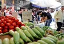 الخضار الصيفية تسجل رقماً قياسياً جديداً في سوريا 17 الخضار الصيفية تسجل رقماً قياسياً جديداً في سوريا