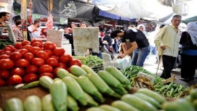الخضار الصيفية تسجل رقماً قياسياً جديداً في سوريا