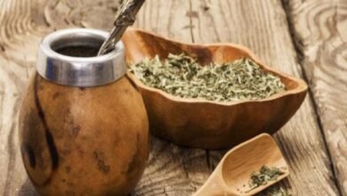 المتة السورية.. زراعتها حل محلي لتوفير 100 مليون دولار!