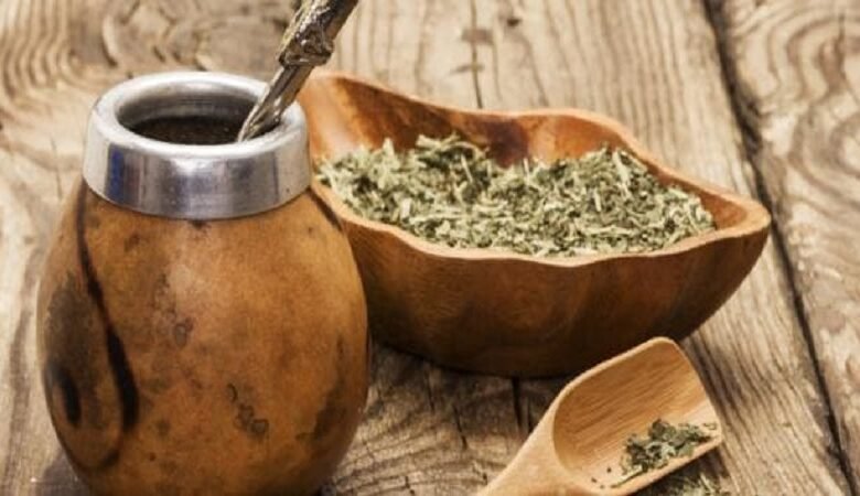 المتة السورية.. زراعتها حل محلي لتوفير 100 مليون دولار!