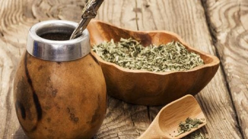 المتة السورية.. زراعتها حل محلي لتوفير 100 مليون دولار! 2 888