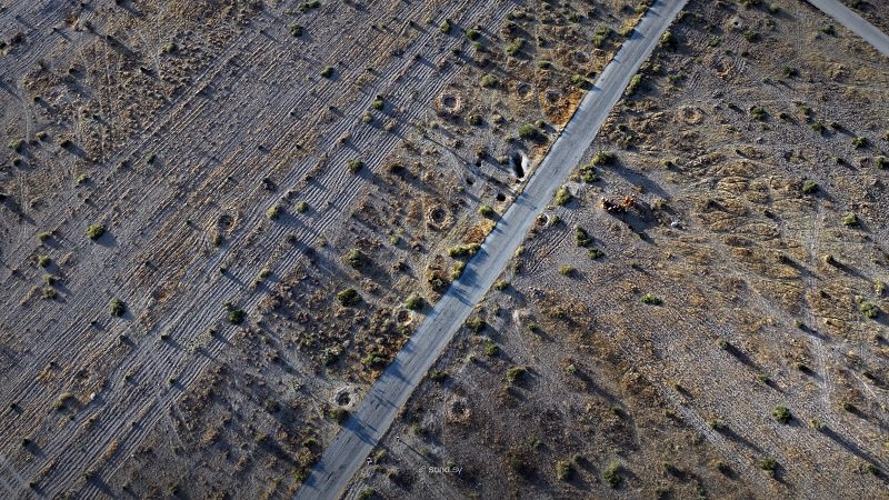 ملايين الأشجار المثمرة تتلاشى في إدلب! 2 DJI 20250904224322 0130 D scaled 1