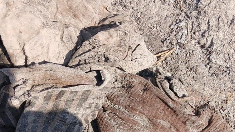 العثور على رفات نحو 100 شخص استشهدوا بكمين للنظام البائد 2 The remains of about 100 people were found 1