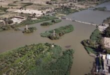 مجزرة الجورة والقصور بديرالزور.. 13 عاماً ووحشية النظام البائد محفورة في الذاكرة 12 مجزرة الجورة والقصور بديرالزور.. 13 عاماً ووحشية النظام البائد محفورة في الذاكرة