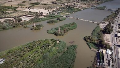 مجزرة الجورة والقصور بديرالزور.. 13 عاماً ووحشية النظام البائد محفورة في الذاكرة