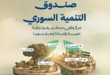 تعرّف على أولويات ومشاريع صندوق سوريا السيادي الجديد