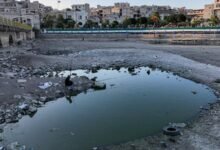 الجفاف يضرب أنهار سوريا والثروة السمكية مهدّدة 16 الجفاف يضرب أنهار سوريا والثروة السمكية مهدّدة