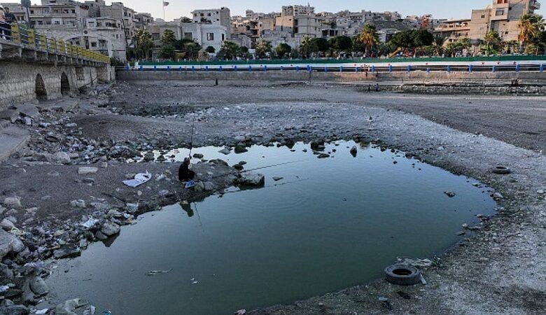 الجفاف يضرب أنهار سوريا والثروة السمكية مهدّدة