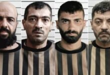  القبض على نمير الأسد وعصابته في ريف اللاذقية
