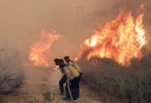 وزير الطوارئ: 9600 حريق في سوريا منذ مطلع العام 16 وزير الطوارئ: 9600 حريق في سوريا منذ مطلع العام