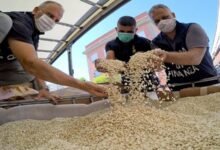 سوريا تضبط 11 مليون حبة كبتاغون قادمة من لبنان 16 سوريا تضبط 11 مليون حبة كبتاغون قادمة من لبنان
