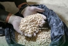الجمارك تحبط تهريب 200 ألف حبة كبتاغون في معبر جديدة يابوس 17 الجمارك تحبط تهريب 200 ألف حبة كبتاغون في معبر جديدة يابوس