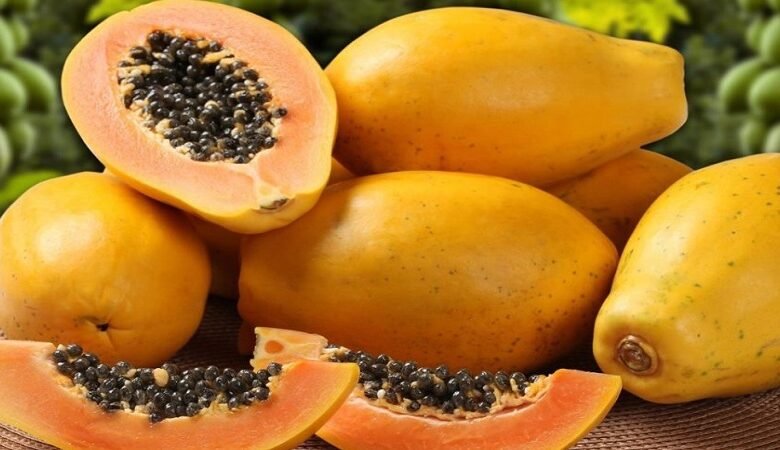 البابايا.. فاكهة استوائية رديفة لزراعة الحمضيات في الساحل