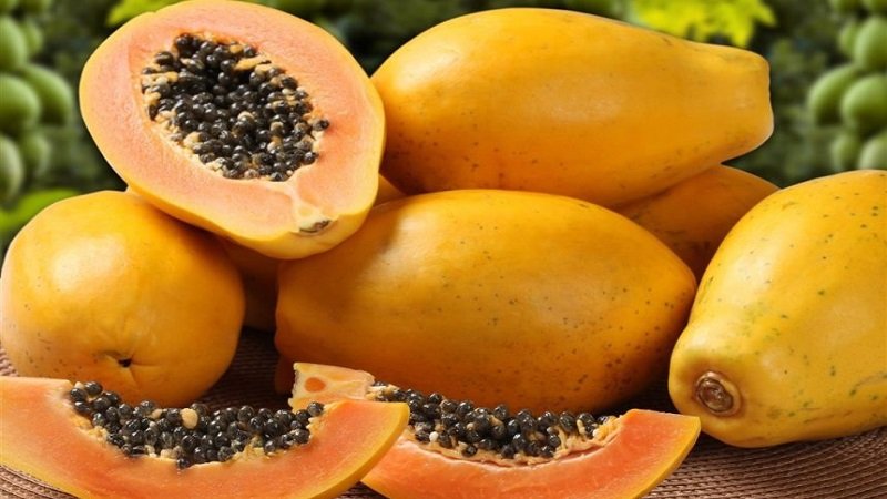 البابايا.. فاكهة استوائية رديفة لزراعة الحمضيات في الساحل 2 photo 2025 10 08 11 22 29 860x689 1