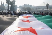 سوريا الجديدة.. تقارب تاريخي مع واشنطن وتحولات إقليمية 17 سوريا الجديدة.. تقارب تاريخي مع واشنطن وتحولات إقليمية
