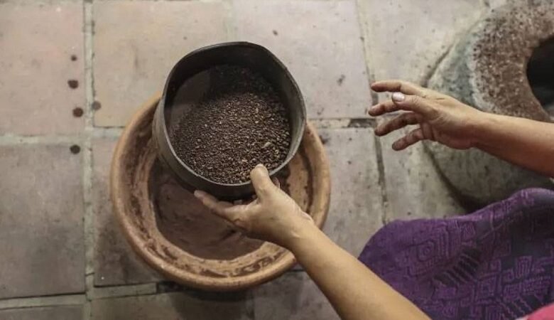 أغلى قهوة في العالم من فضلات الحيوانات!