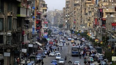 إحصائية صادمة لمعدلات الزواج والطلاق في مصر