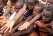 الأمم المتحدة تحذر من مجاعة تهدد الملايين وتطلب زيادة التمويل 17 الأمم المتحدة تحذر من مجاعة تهدد الملايين وتطلب زيادة التمويل