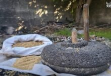 حجر الرحى… طاحونة تدور بالمحبة والحنين للماضي